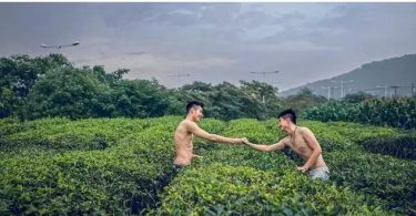 身为gay的你，为什么单身？ - 51虹马