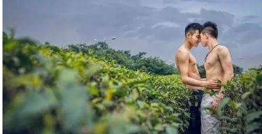 身为gay的你，为什么单身？ - 51虹马