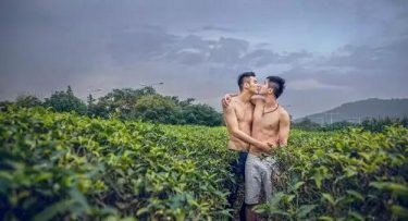 身为gay的你，为什么单身？ - 51虹马