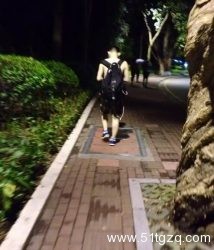 作为Gay，你和男朋友做过最疯狂的一件事是什么？ - 51虹马