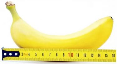 阴茎增大手术致死?15名少年性侵一头驴 集体染病? - 51虹马 阴茎增大手术致死?15名少年性侵一头驴 集体染病? - 51虹马