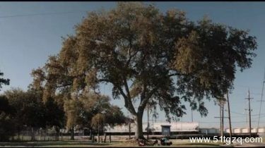 《碎碎爱》：碎碎的小黄话与流动的性向 - 51虹马