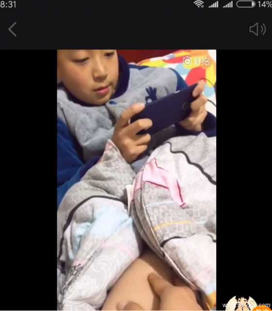 恋童癖不死绝，怎对得起这朗朗乾坤！ - 51虹马