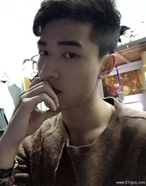 和泰迪1，是什么感觉？ - 51虹马