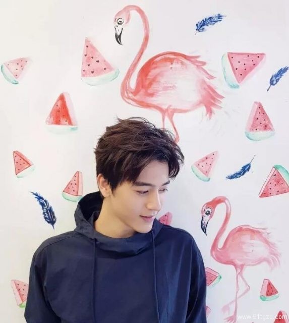 帅哥∣霸屏新宠阳光少年撞脸林志颖相似度99%！？李宗霖 - 51虹马