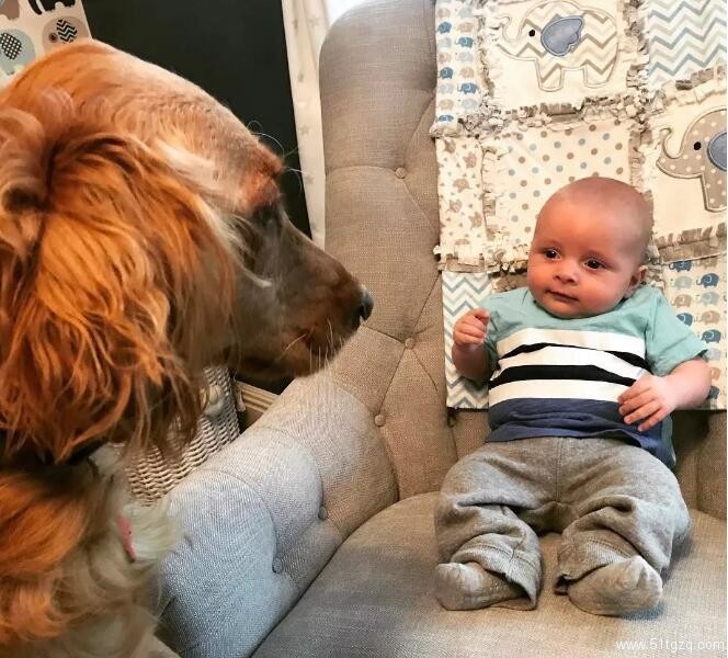 美帝夫夫超幸运 通过代孕即将迎来三胞胎 四个孩子养的过来吗!!! - 51虹马