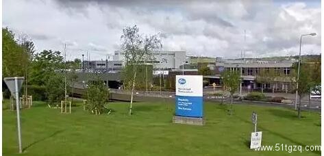 伟哥工厂排出的烟雾，会让人控制不住！ - 51虹马