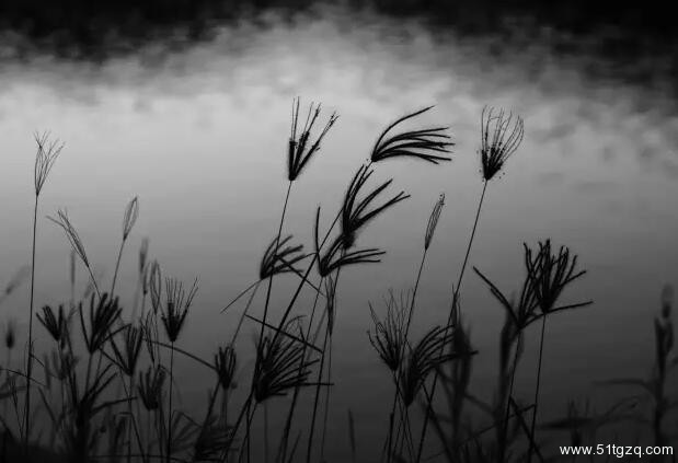 都说成都是gay都！成都人，你真的能接受同性恋吗？ - 51虹马