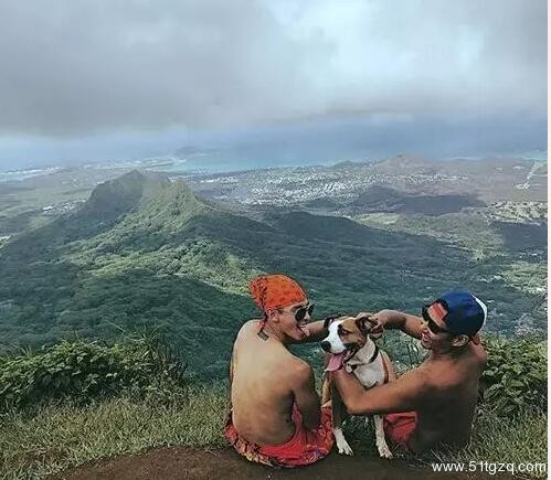 科科，婚后你变了！ - 51虹马