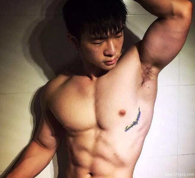 2017gay名媛网红权威排行榜 - 51虹马