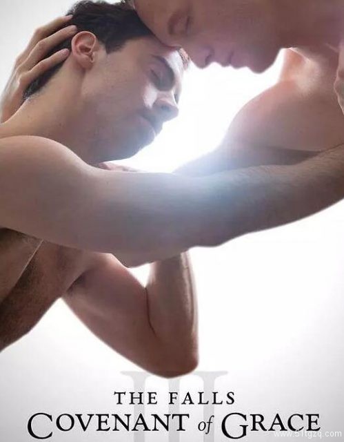 大陆同性情景喜剧《VIP健身房》全集，直男健身教练被调戏 - 51虹马