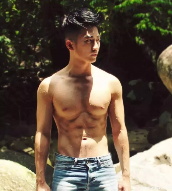 作为泰迪0，挺痛苦的 - 51虹马