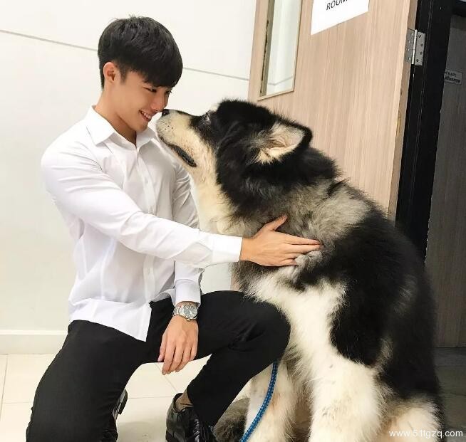 看点∣原味小鲜肉自带美颜效果，超高颜值六块腹肌，嫩的让你上瘾！ - 51虹马