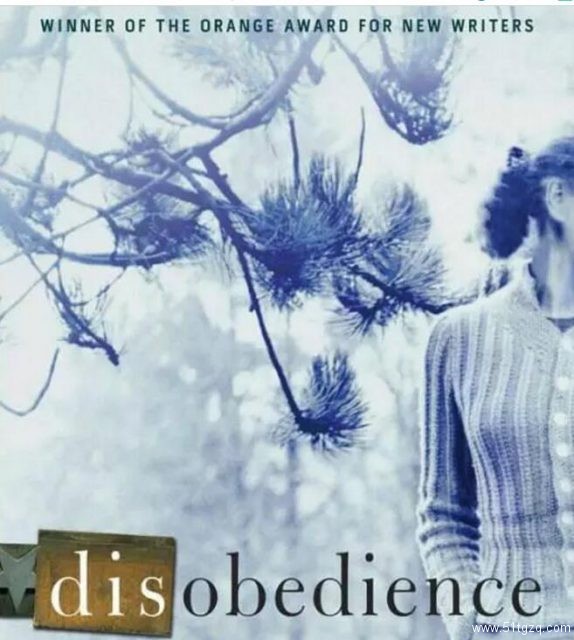 2017年同志电影年度报告来了！（数据、趋势、展望...） - 51虹马