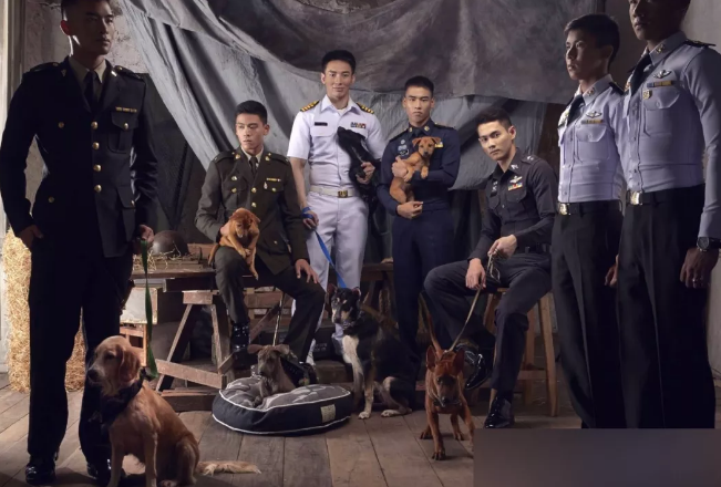 如何鉴别小受,干过很多次?-51虹马