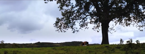 韩国首位同志偶像出道！男男恋MV 满满的甜蜜 - 51虹马