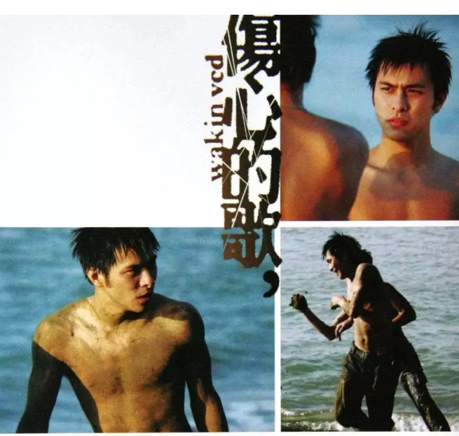 杨祐宁上演极致诱惑，看过他的gay片吗？网友秒变盯裆喵 - 51虹马