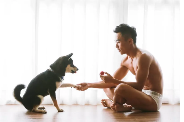 约到受受的小奶狗 - 51虹马