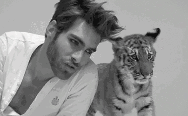 我愿意一直宠溺你，直到我离去 - 51虹马