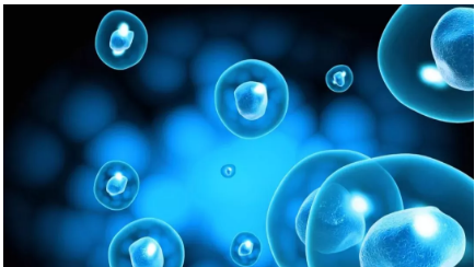 给自己丁丁注射干细胞求增大？这小哥，感觉已经魔怔了.. - 51虹马