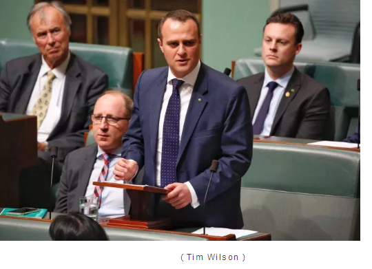 在澳洲众议院求婚的议员,终于和伴侣完婚了 - 51虹马 在澳洲众议院求婚的议员,终于和伴侣完婚了 - 51虹马