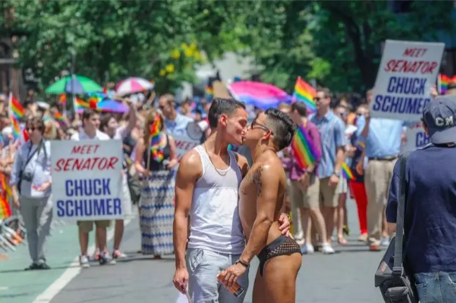 近6成法国人支持同志医学辅助生育 - 51虹马