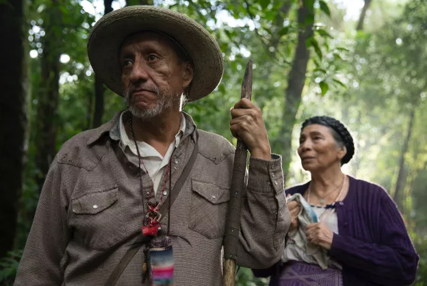 《梦呓雨林》:唤醒隐埋心底的爱 - 51虹马
