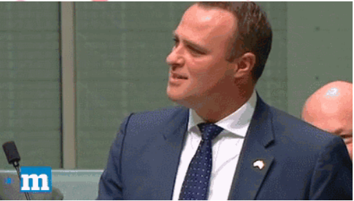 在澳洲众议院求婚的议员,终于和伴侣完婚了 - 51虹马 在澳洲众议院求婚的议员,终于和伴侣完婚了 - 51虹马