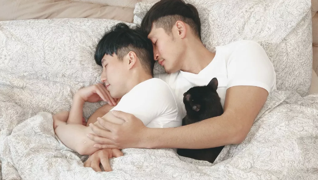 蔡健雅演唱会求婚同志夫夫分享恋爱心得 - 51虹马