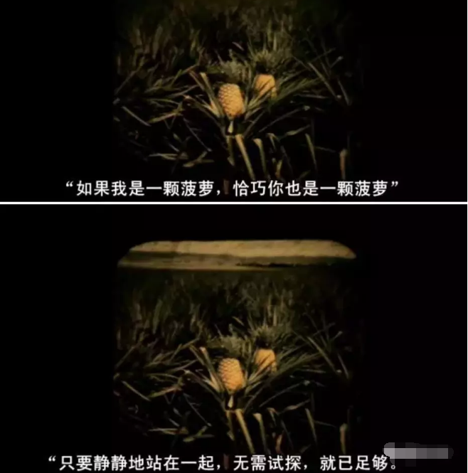 看上去很清新，却又那样的情欲澎湃 - 51虹马