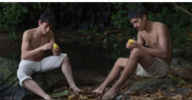 《梦呓雨林》:唤醒隐埋心底的爱 - 51虹马