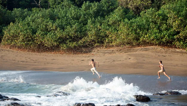 《梦呓雨林》:唤醒隐埋心底的爱 - 51虹马