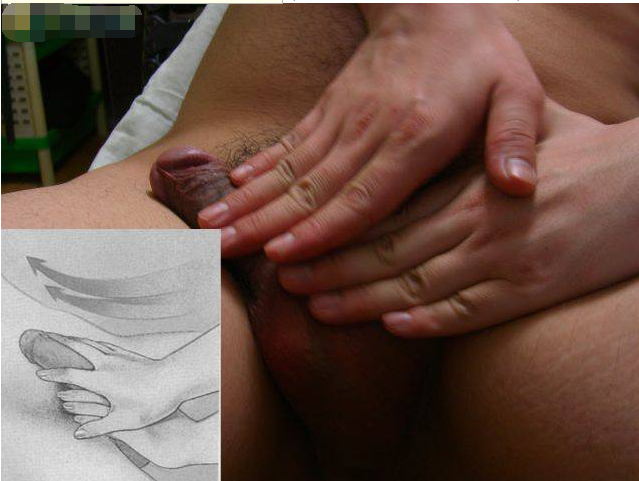 男性生殖器按摩教程圖-真人版 - 51虹马