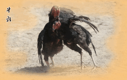 深圳某名媛天团开房打群架直播被抓?隔壁房间遭殃?洪翊展出柜?单片抗艾复方药物中国上市?信息大爆炸 - 51虹马 深圳某名媛天团开房打群架直播被抓?隔壁房间遭殃?洪翊展出柜?单片抗艾复方药物中国上市?信息大爆炸 - 51虹马