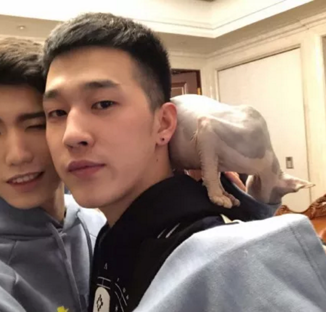 美妆博主Benny与男友分手，渣男说自己是直男，之前只是炒作，也是蛮心疼Benny了。 - 51虹马