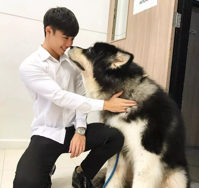 看点∣童颜腹肌“小奶狼”，好喜欢这样的原味帅气小鲜肉！ - 51虹马