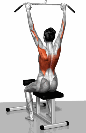 健身菜鸟的福利, 收好留用, 各部位肌肉锻炼图解 - 51虹马 健身菜鸟的福利, 收好留用, 各部位肌肉锻炼图解 - 51虹马