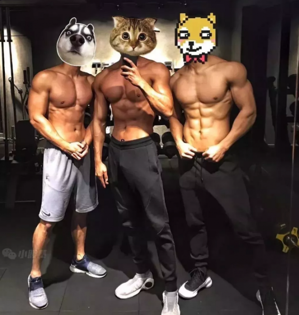 广东180大肌肉帅哥！健身教练居然是模特！ - 51虹马