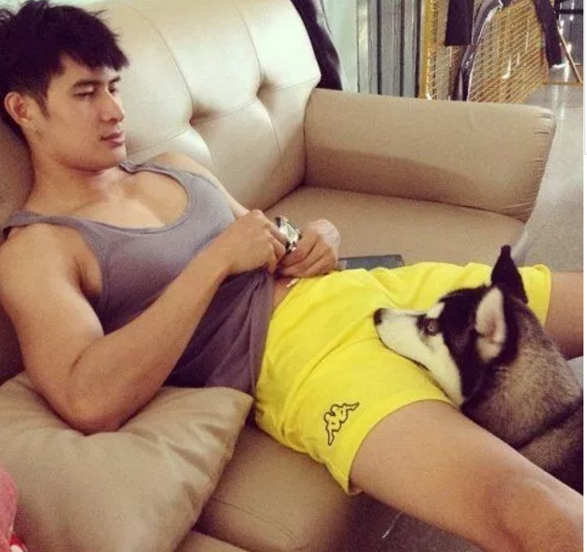 曾经揩油视频火爆朋友圈的他，居然能忍受狗狗对自己做这种事！ - 51虹马