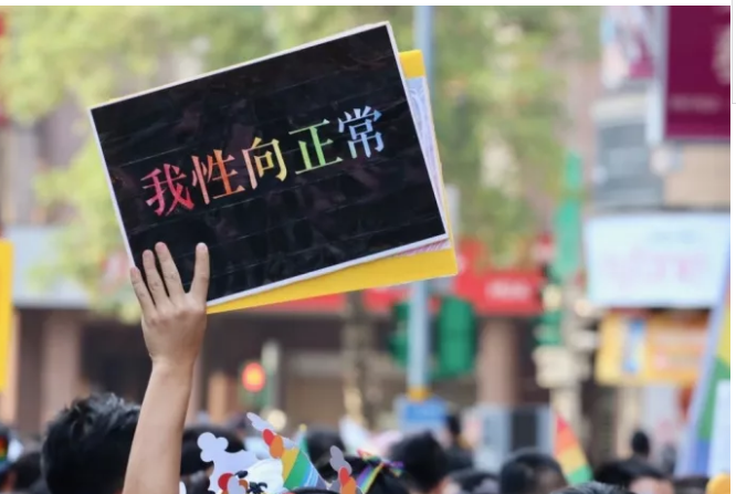台湾反同志婚姻公投通过审核：给社会的一记重击 - 51虹马