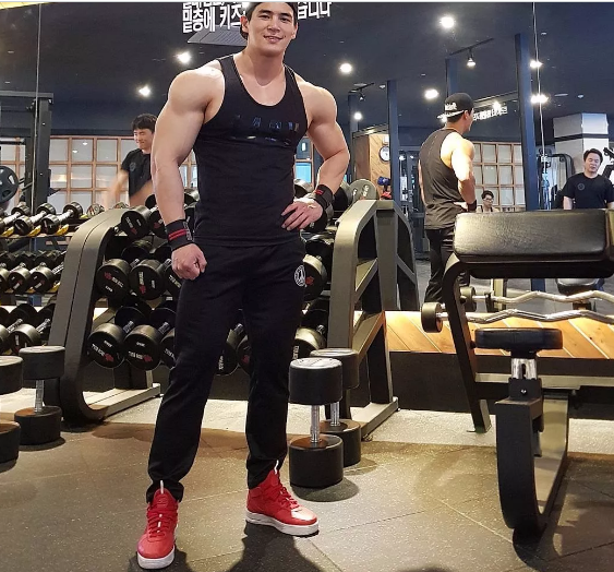 呆萌犬颜小哥哥，有才有硬件！ - 51虹马