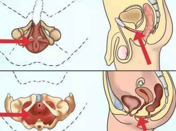 【小受必看】什么是提肛运动, 坚持做对身体有哪些益处? - 51虹马