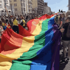 美国最大购物网站 竟然开始卖直男旗 直男们现在也有旗帜了嘛? - 51虹马