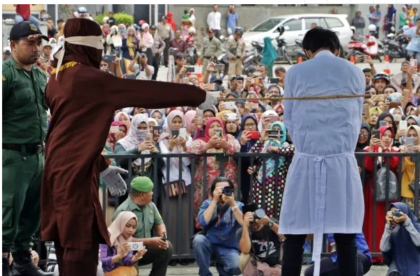 泰国同性婚姻合法?僧侣为LGBT盖庙? - 51虹马 泰国同性婚姻合法?僧侣为LGBT盖庙? - 51虹马