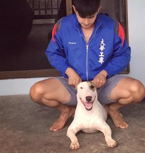 曾经揩油视频火爆朋友圈的他，居然能忍受狗狗对自己做这种事！ - 51虹马