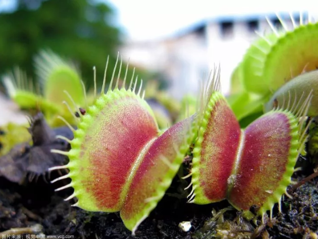 血泪史?肛毛...到底...能不能...刮掉.. - 51虹马 血泪史?肛毛...到底...能不能...刮掉.. - 51虹马