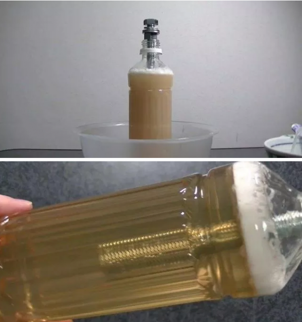 男网友自制可食用飞机杯，爽不爽！！！ - 51虹马