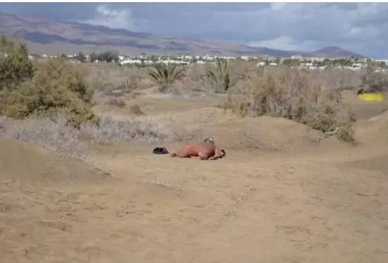 西班牙游记丨同性恋、裸体、海滩 - 51虹马