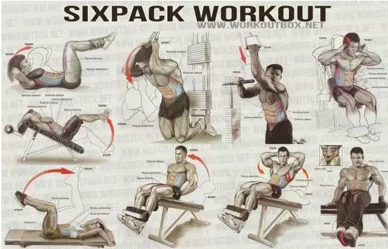 健身菜鸟的福利, 收好留用, 各部位肌肉锻炼图解 - 51虹马 健身菜鸟的福利, 收好留用, 各部位肌肉锻炼图解 - 51虹马