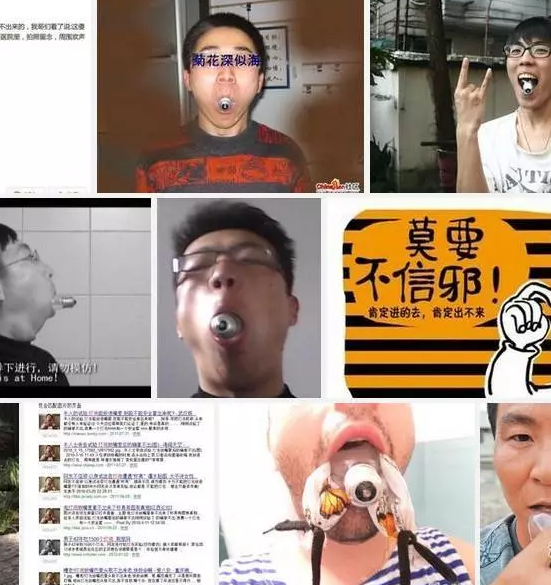 每生产一个肛塞，就有一个无辜的猫猫被切掉尾巴 - 51虹马